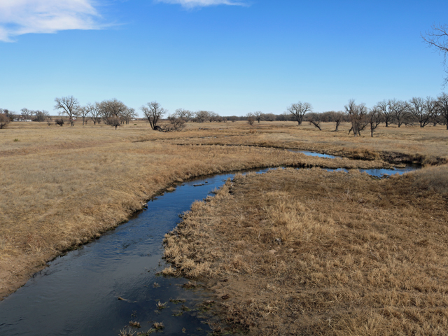 Kansas and Colorado agreed to spend millions of dollars to maintain the south fork of the Republican River Basin as part of a settlement agreement this week. (Photo by Jeffrey Beall) 